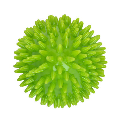 Dog Comets Cosmic Egg Groen M