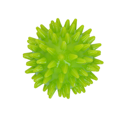 Dog Comets Cosmic Egg Groen S