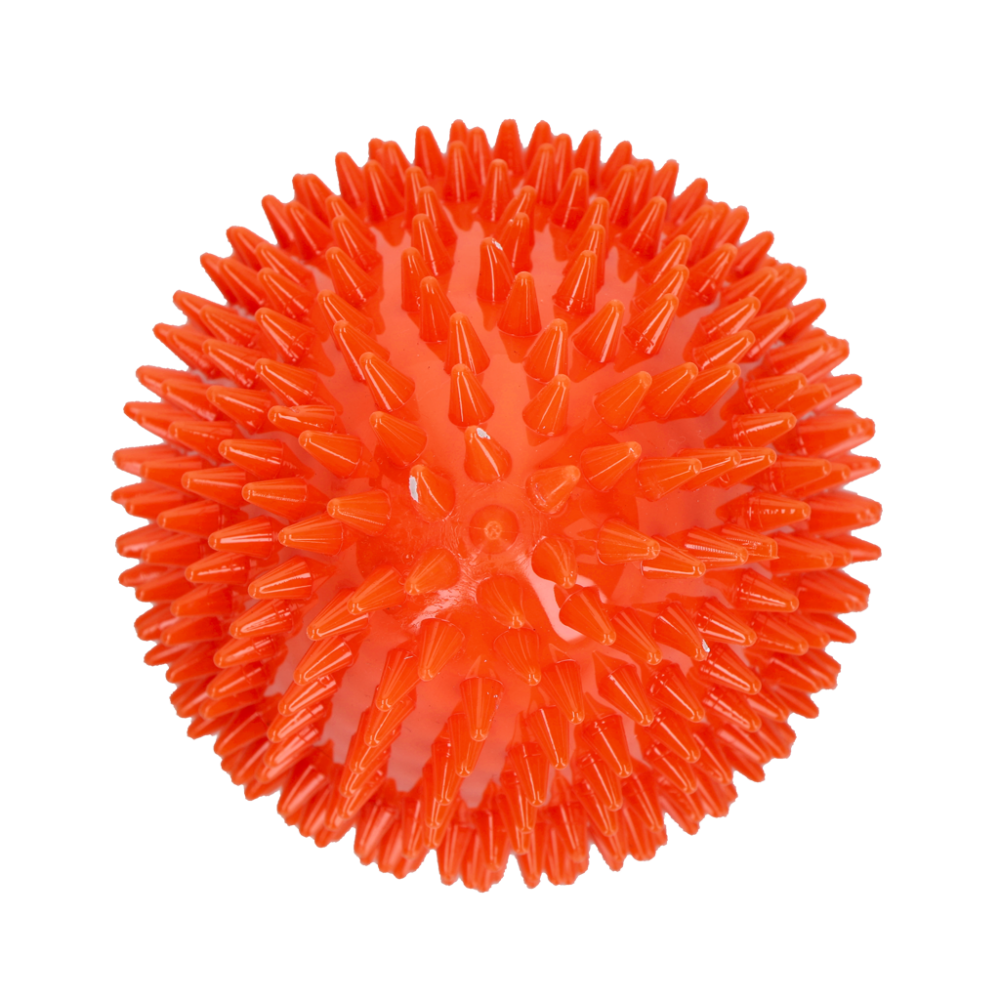 Dog Comets Cosmic Egg Oranje L