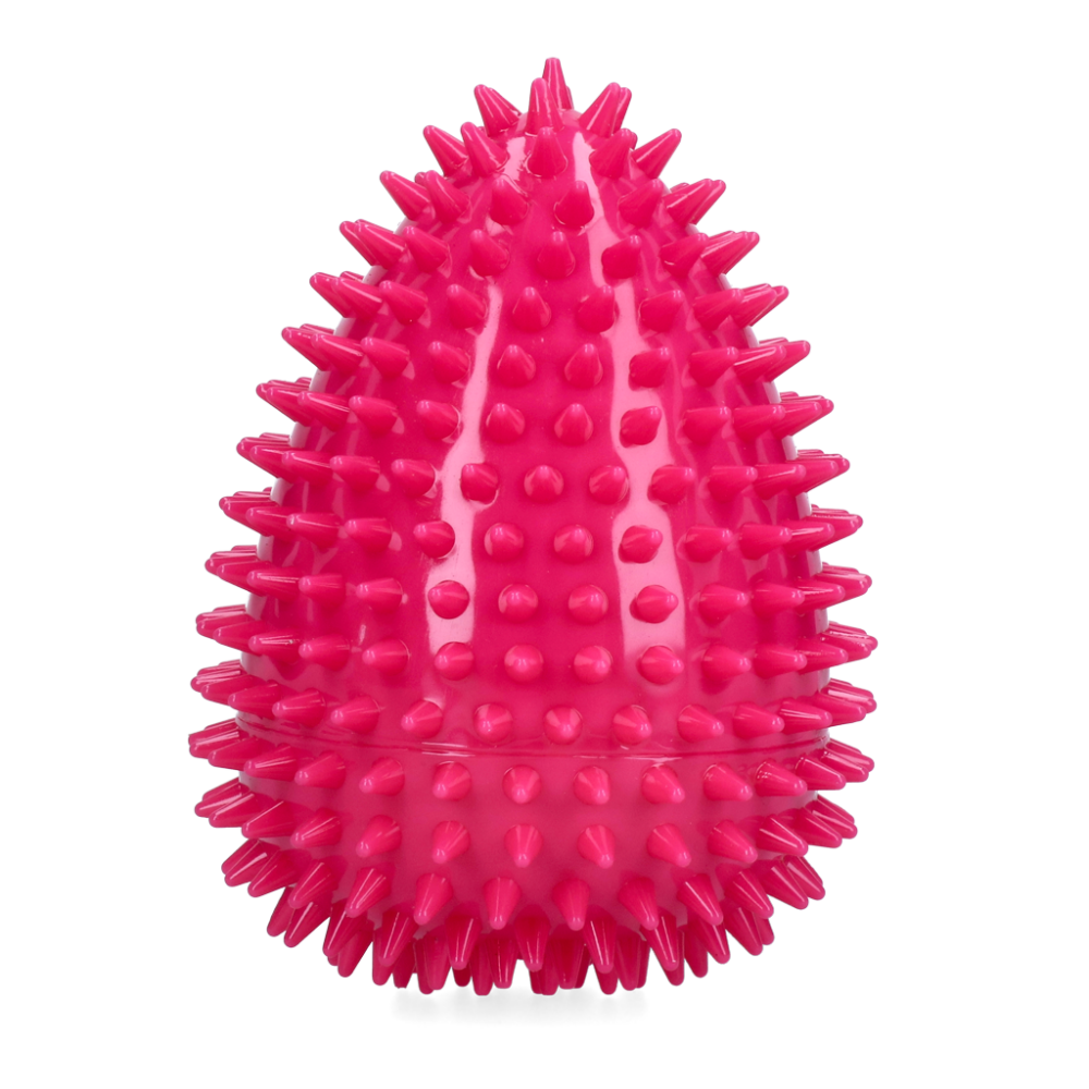 Dog Comets Cosmic Egg Roze L