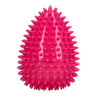 Dog Comets Cosmic Egg Roze L