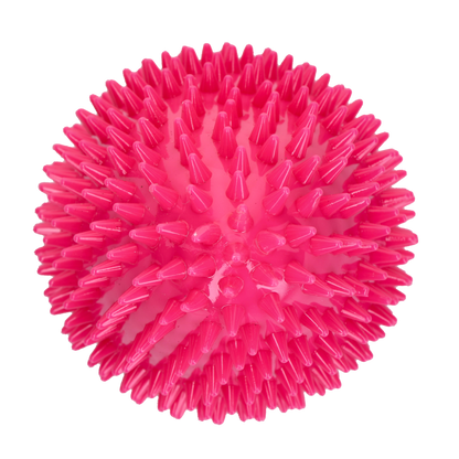 Dog Comets Cosmic Egg Roze L
