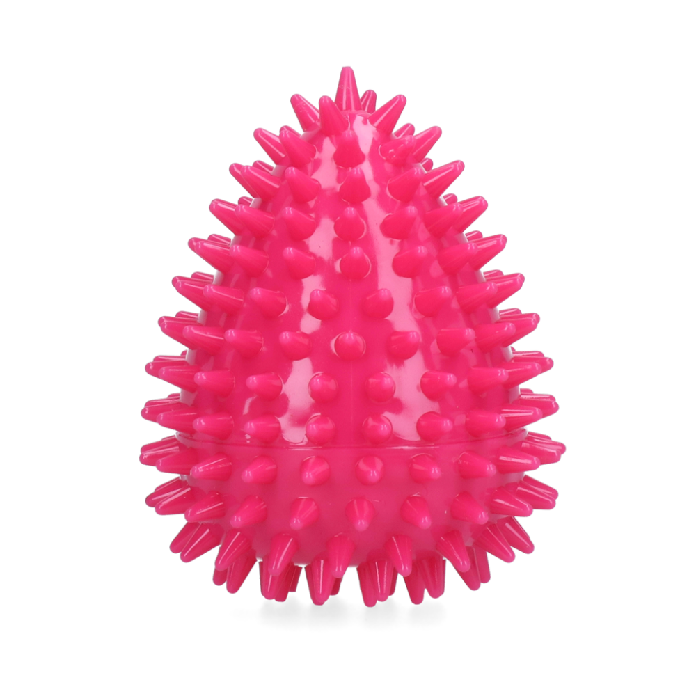 Dog Comets Cosmic Egg Roze M