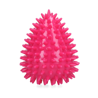 Dog Comets Cosmic Egg Roze M