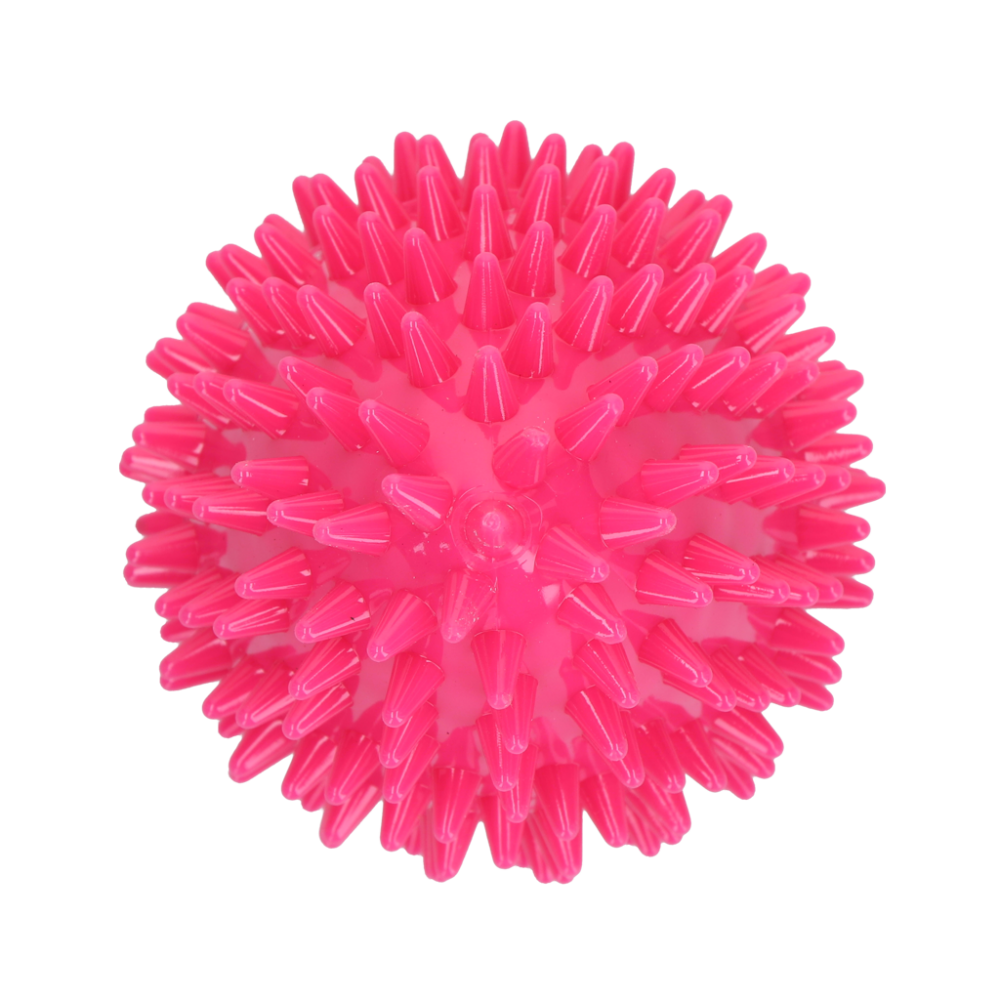 Dog Comets Cosmic Egg Roze M