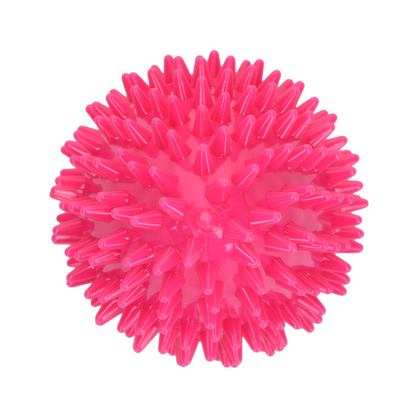 Dog Comets Cosmic Egg Roze M