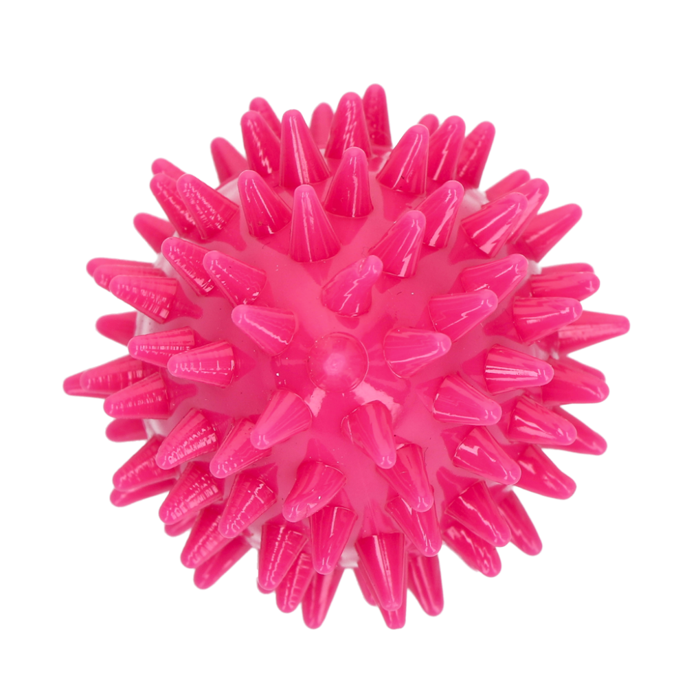 Dog Comets Cosmic Egg Roze S