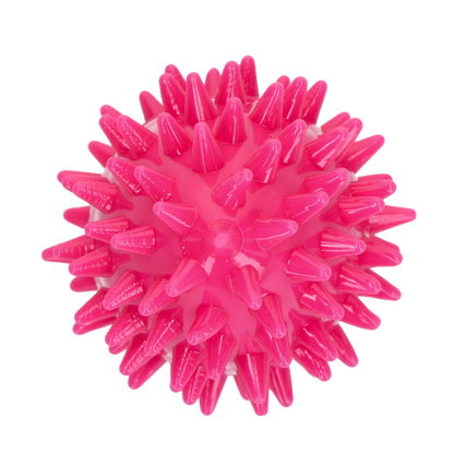 Dog Comets Cosmic Egg Roze S