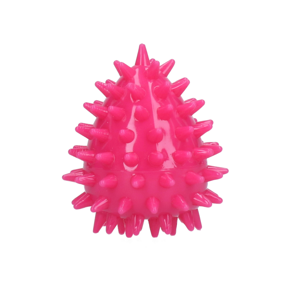 Dog Comets Cosmic Egg Roze S