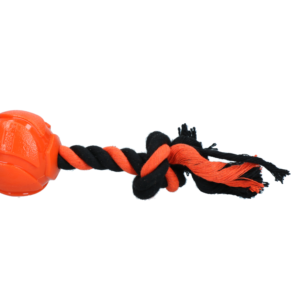 Dog Comets AstroTug Oranje