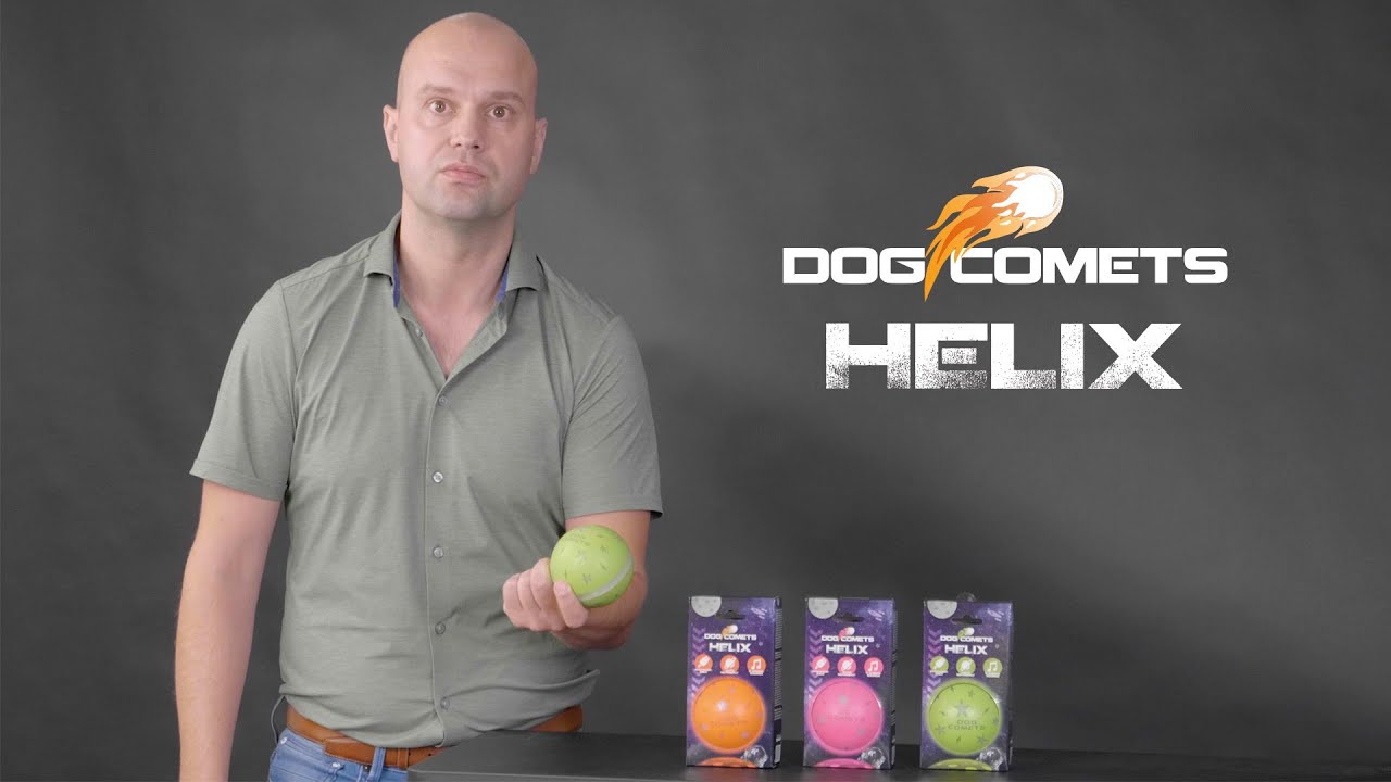 Dog Comets Helix Oranje