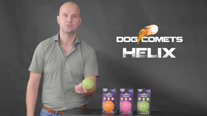 Dog Comets Helix Oranje