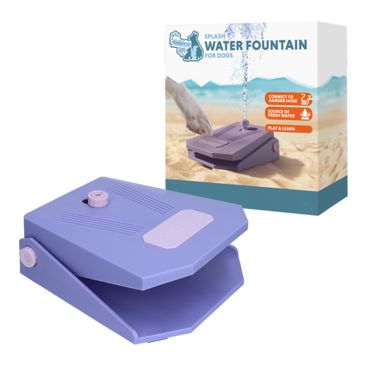 Coolpets Splash Water Fountain Lila