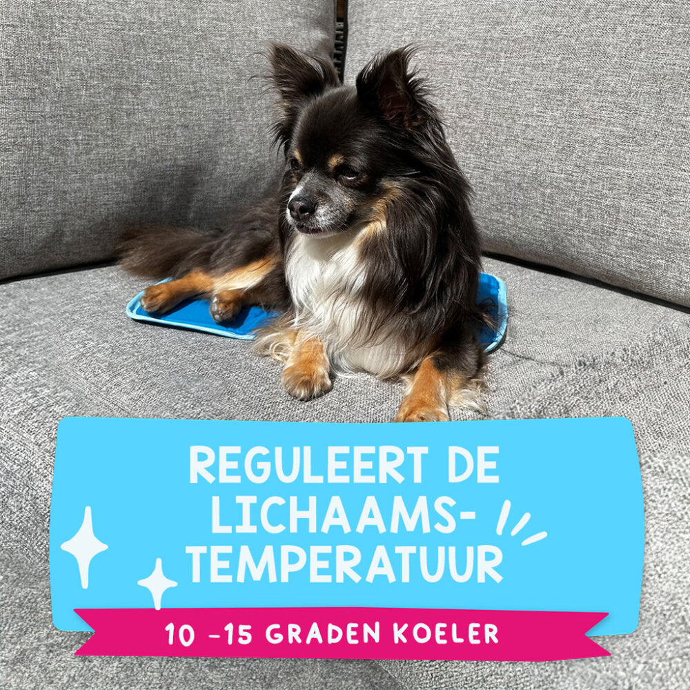 Coolpets Premium Solid gel Cooling Mat XS 40x30cm