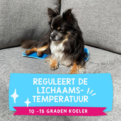 Coolpets Premium Solid gel Cooling Mat XS 40x30cm