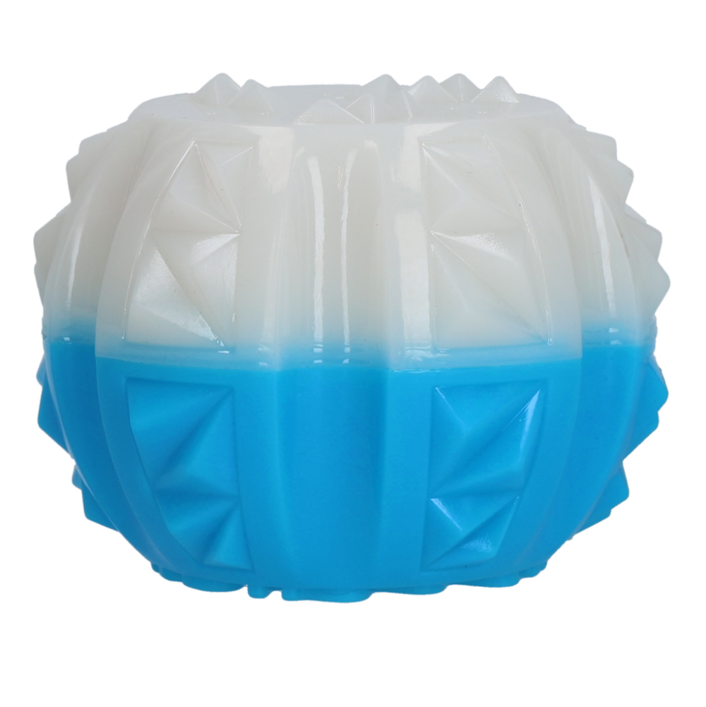 Coolpets Ice Ball