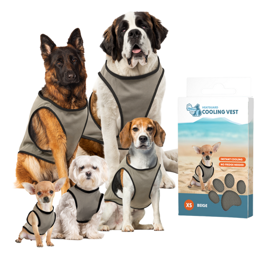 Coolpets Cooling Vest XL (back size 40 cm)