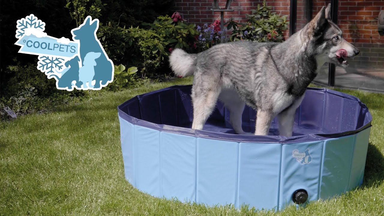 CoolPets Splash Dog Pool ø 100 x 30 cm