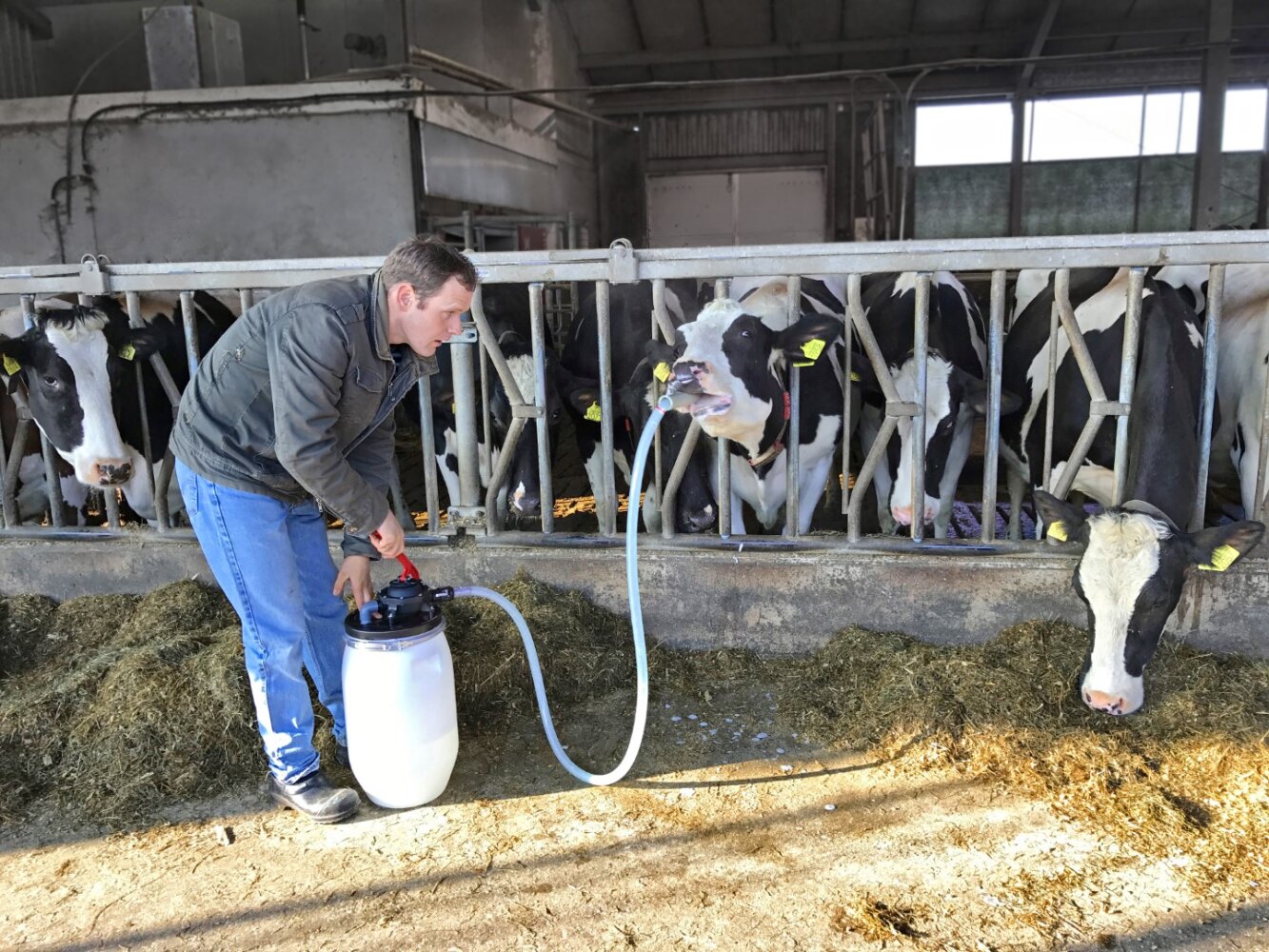 Excellent Cow Drencher