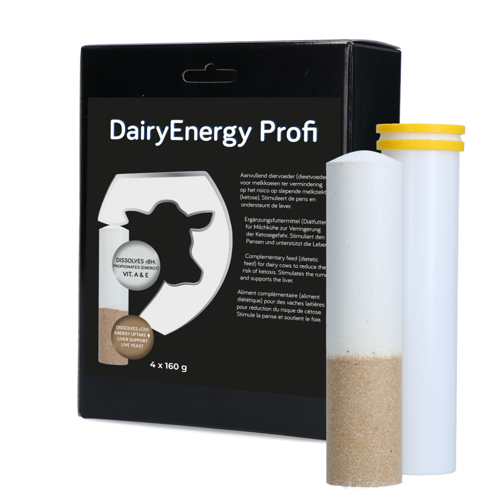 Dairy Energy Bolus 4 x 160 g
