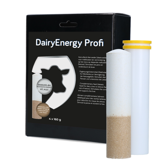 Dairy Energy Bolus 4 x 160 g