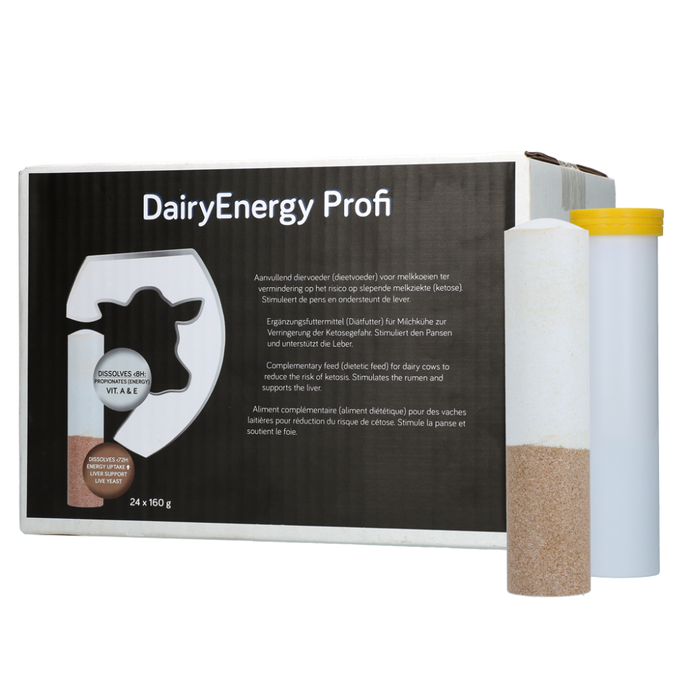 Dairy Energy Bolus 24 x 160 g