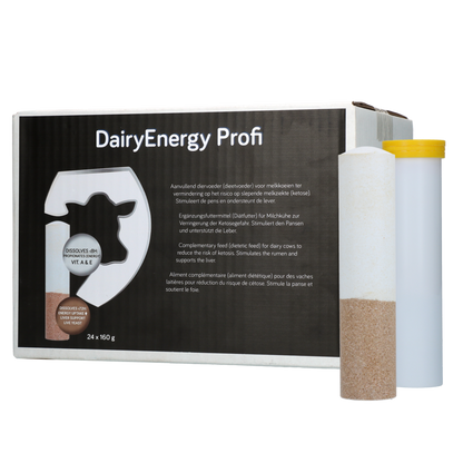 Dairy Energy Bolus 24 x 160 g