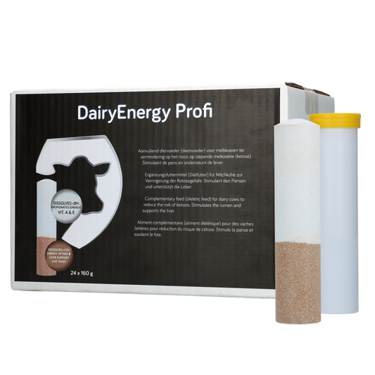 Dairy Energy Bolus 24 x 160 g