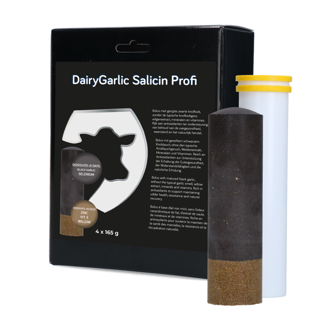 Dairy Udder Support Bolus 4 x 165 g
