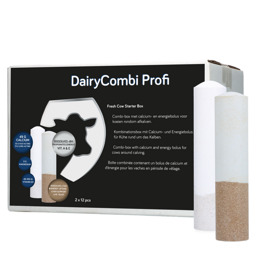 DairyCombi Profi Bolus 2 x 12 stuks