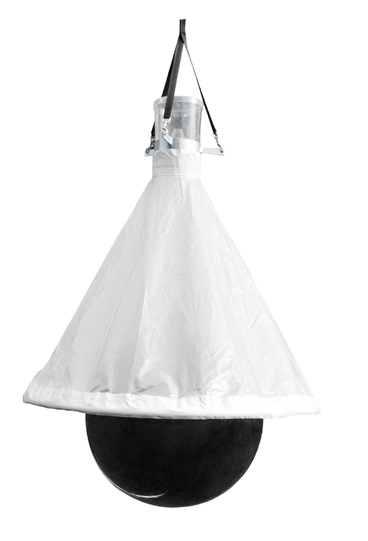TaonX Dazen- /Wespenval Mini