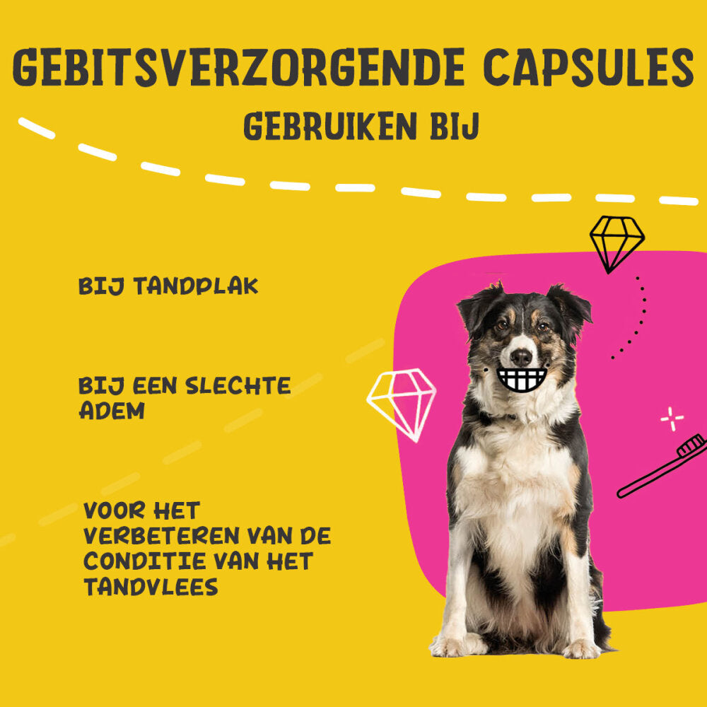 Excellent Pets Dental Oral Care Capsules 90 pcs