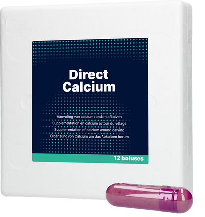 Direct Calcium 12 x 94 g