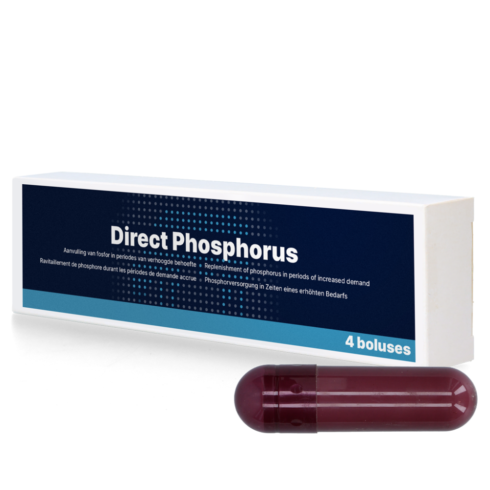 Direct Phosphorus 4 x 123 g