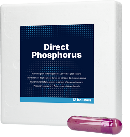 Direct Phosphorus 12 x 123 g