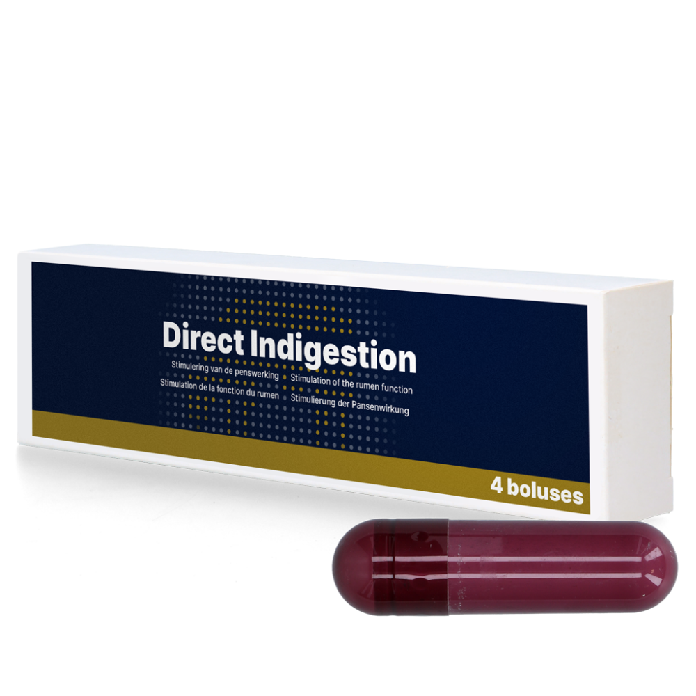 Direct Indigestion 4 x 76 g
