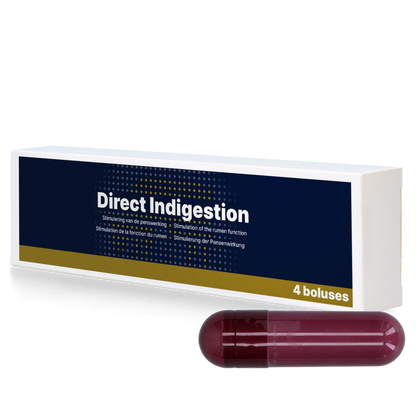 Direct Indigestion 4 x 76 g