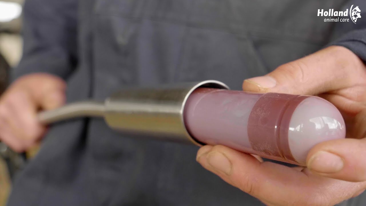 Direct Indigestion 4 x 76 g