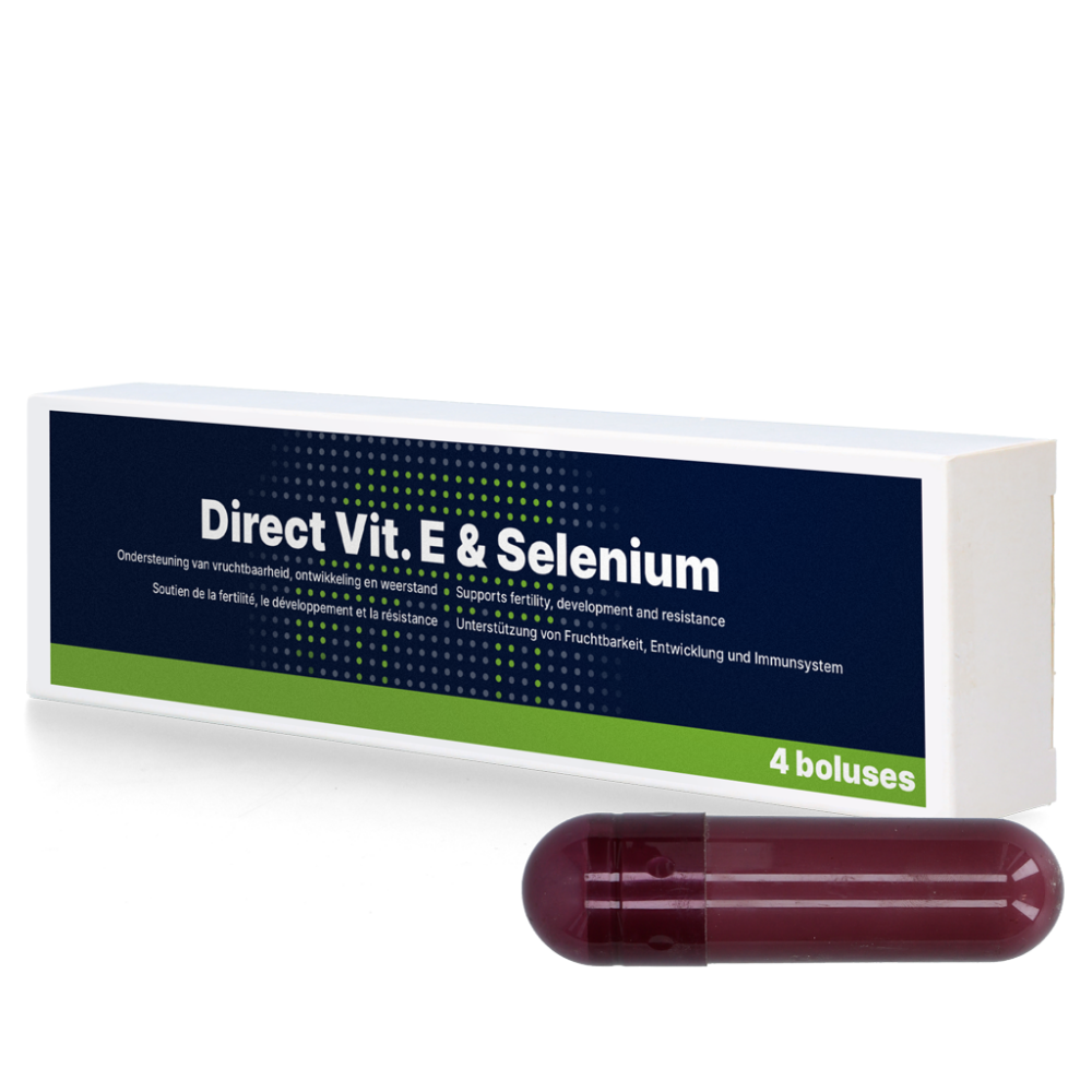 Direct Vit. E & Selenium 4 x 105 g