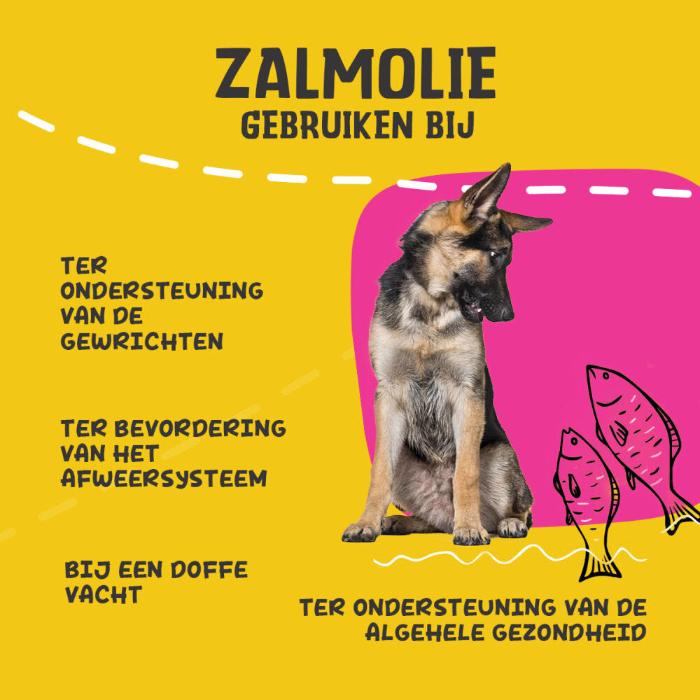 Excellent Pets Dog Salmon Oil 250 ml