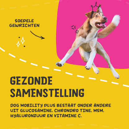 Excellent Pets Dog Mobility+ 100 g
