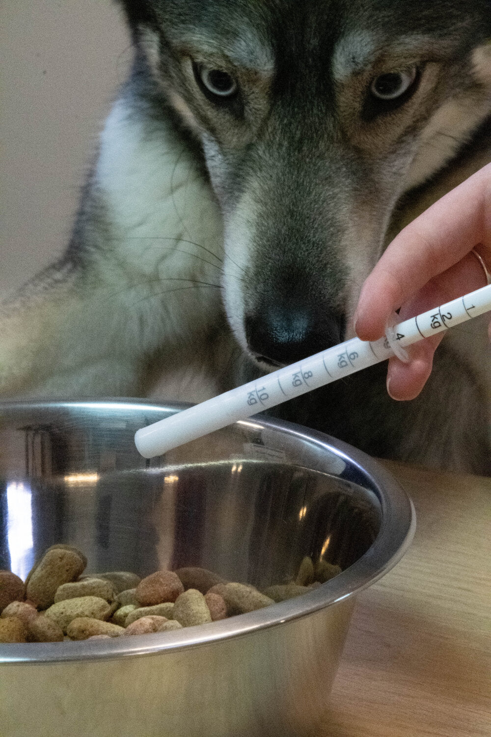 Dolthene Ontwormingsmiddel 20 ml