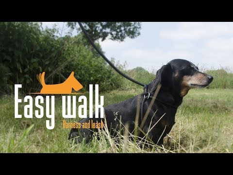 Easy Walk Handmodel Rood