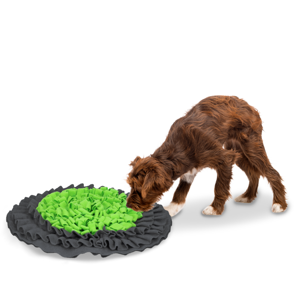 Eat Slow Live Longer Snuffle Mat