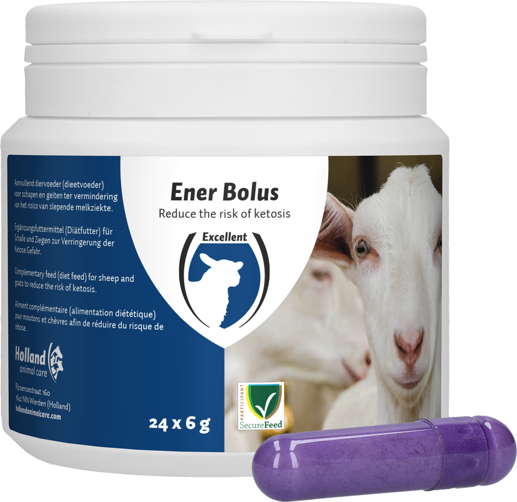 Excellent Ener Bolus Schaap & Geit