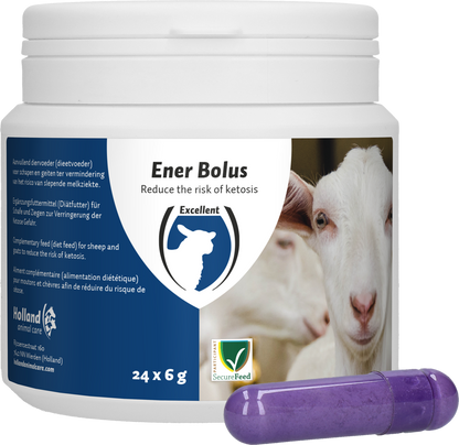 Excellent Ener Bolus Schaap & Geit
