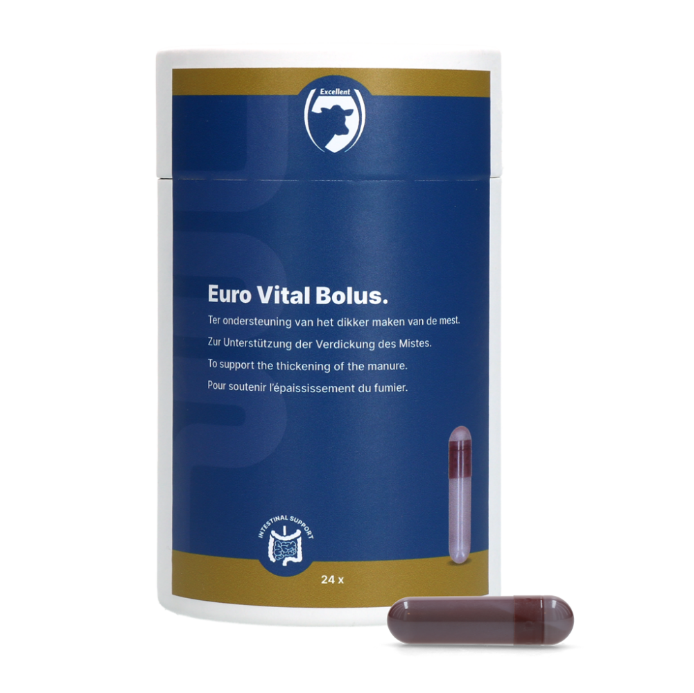 Excellent Euro-Vital Bolus 24 x 10 g