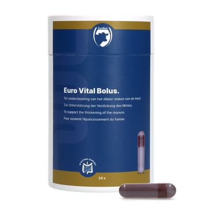 Excellent Euro-Vital Bolus 24 x 10 g
