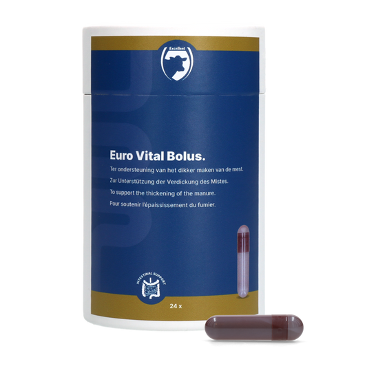 Excellent Euro-Vital Bolus 24 x 10 g
