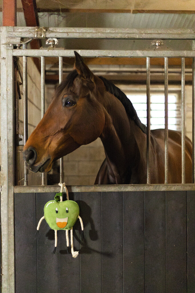 Excellent Horse Foodie Friends Apple